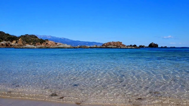 海