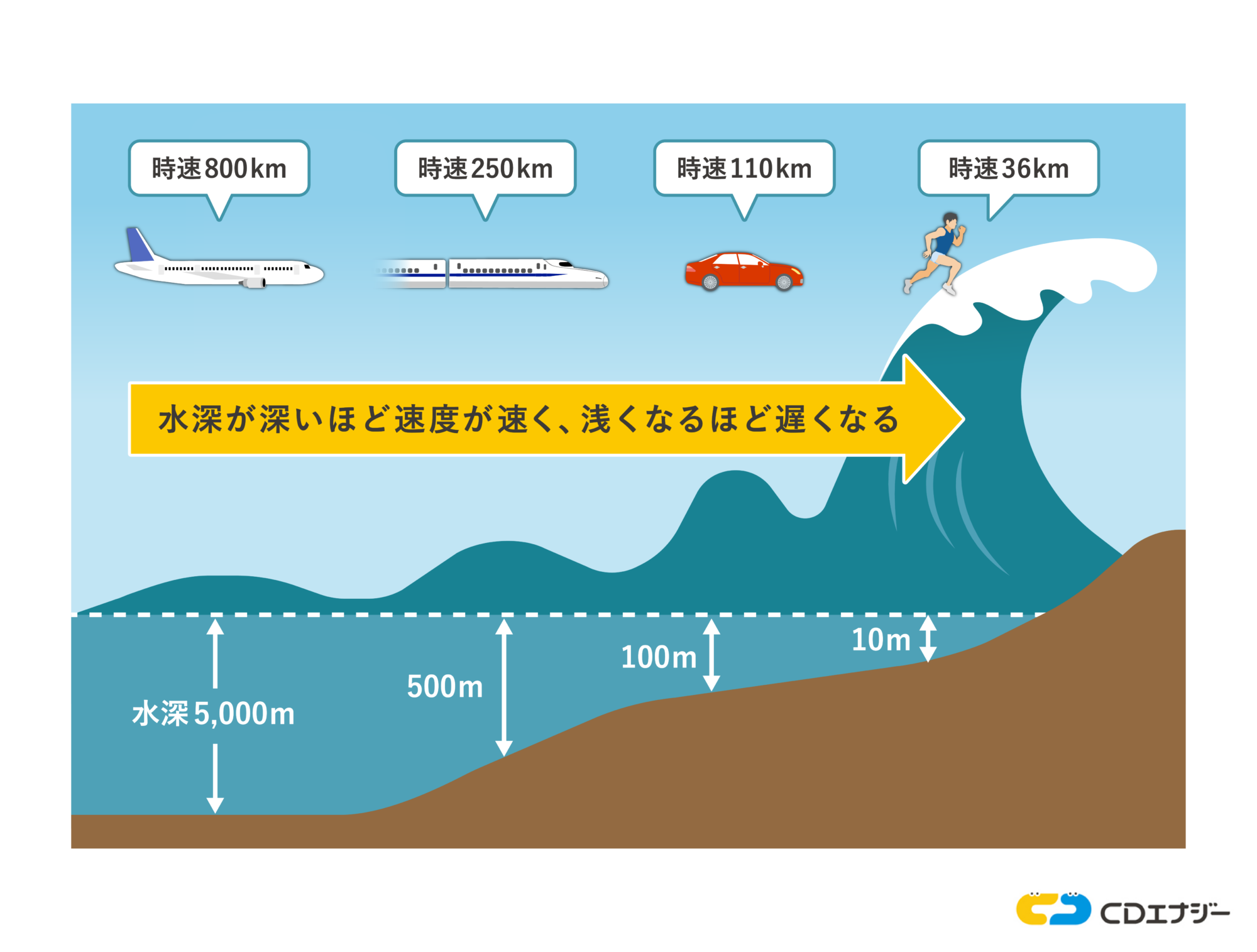 津波の高さ