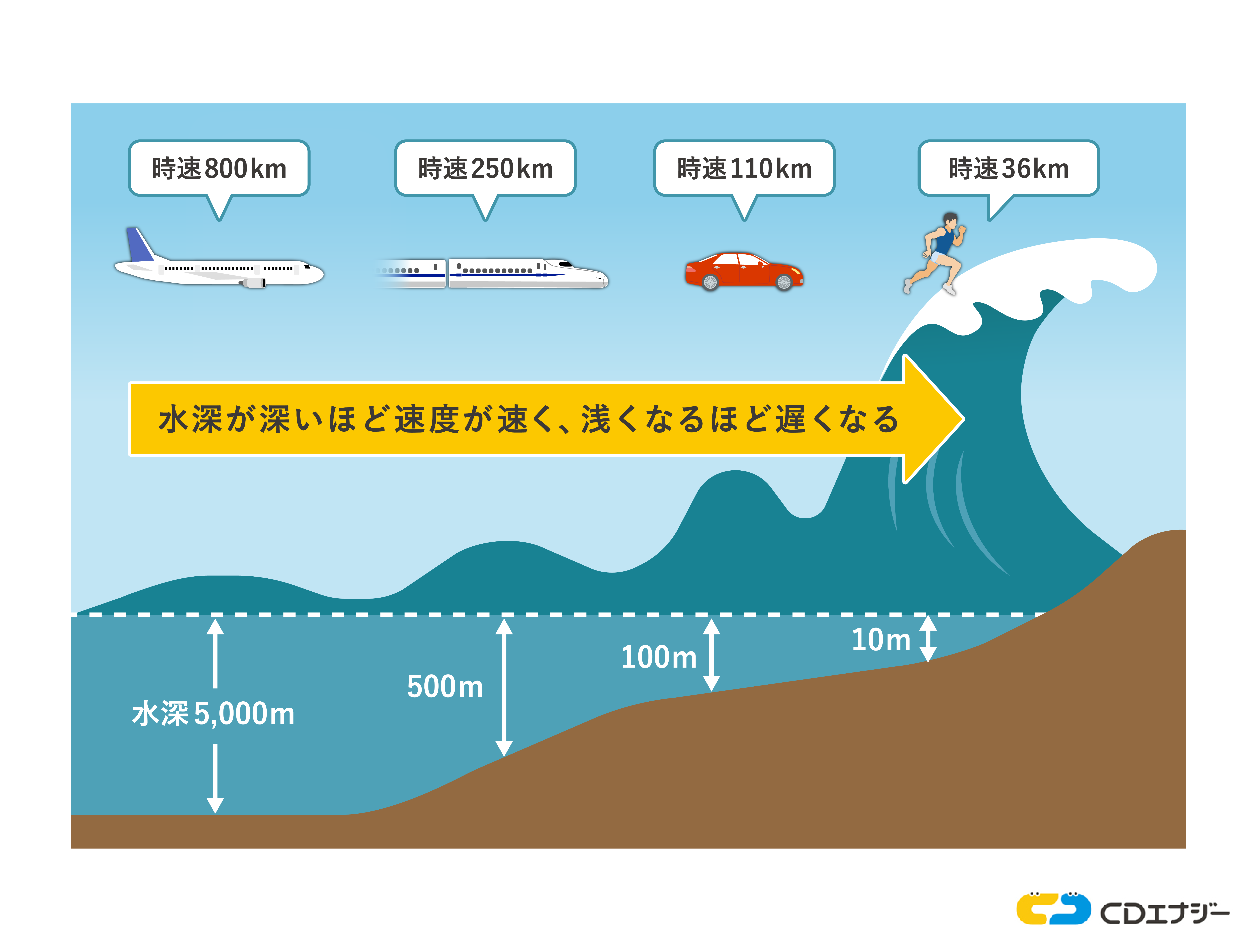 津波の高さ