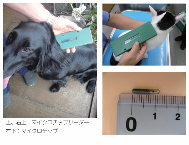 マイクロチップ