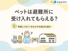 避難所　ペット　サムネイル