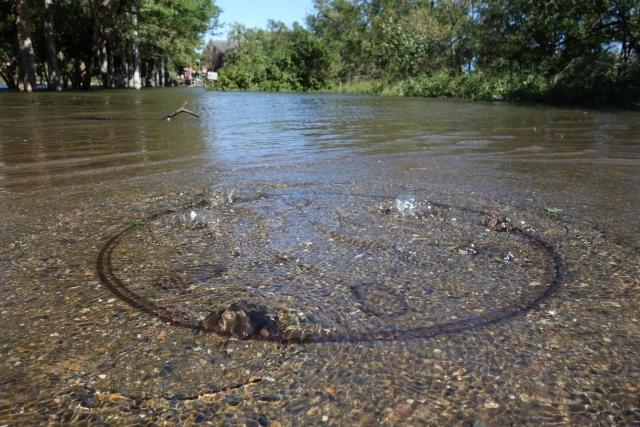冠水したマンホール