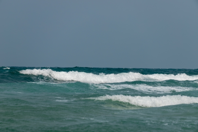 日本海