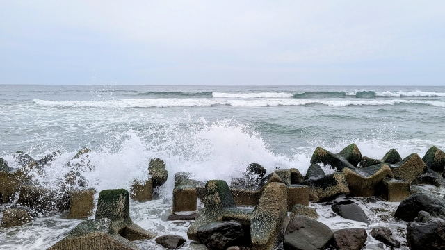 海