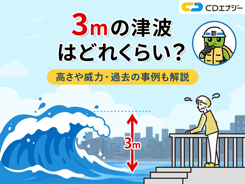 津波　3ｍ　サムネイル